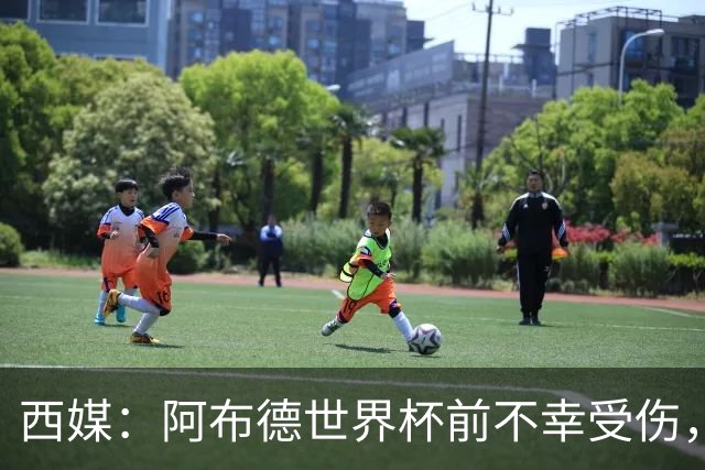 西媒：阿布德世界杯前不幸受伤，看完摩洛哥首战后已离开集训营
